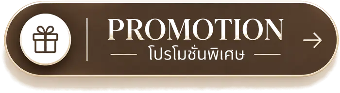 โปรโมชั่นพิเศษ