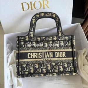 Dior totebook mini
